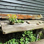Bootsscheune By Interhome * Spandowerhagen